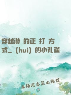 穿越游戲的正確打開方式