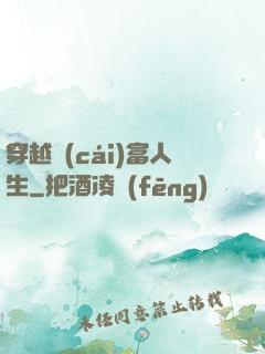 穿越財(cái)富人生