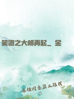 笑傲之大明再起