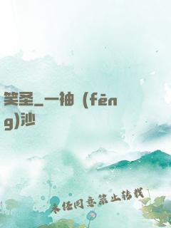 笑圣