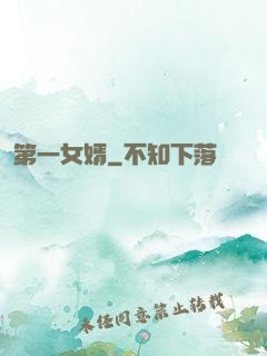 第一女婿