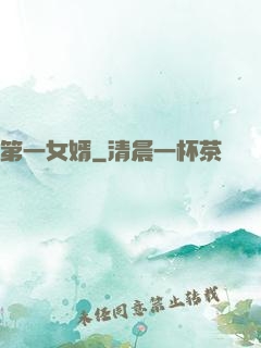第一女婿