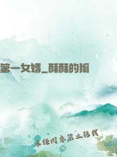 第一女婿