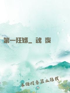 第一狂婿