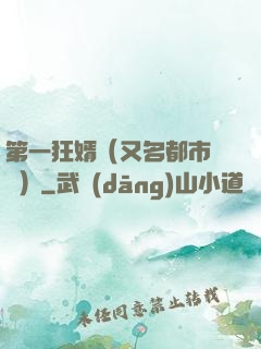第一狂婿（又名都市潛龍）