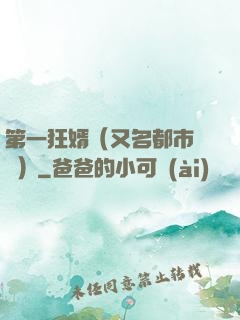 第一狂婿（又名都市潛龍）