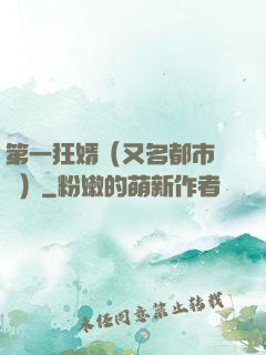 第一狂婿（又名都市潛龍）