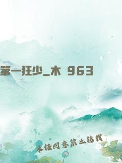 第一狂少