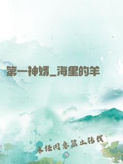 第一神婿