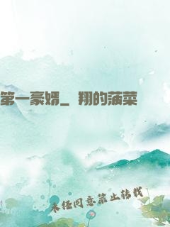 第一豪婿