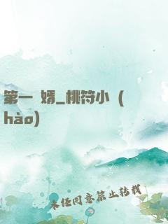 第一贅婿