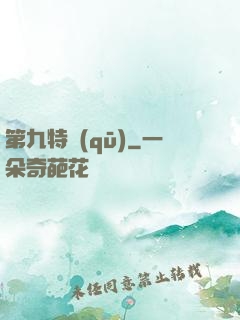 第九特區(qū)