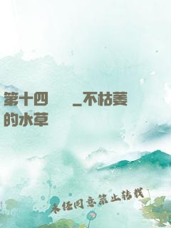 第十四號倉庫