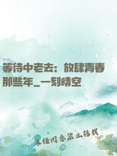 等待中老去：放肆青春那些年