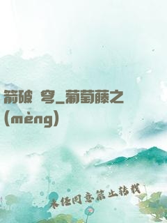箭破蒼穹