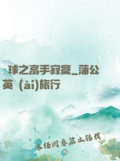 籃球之高手寂寞