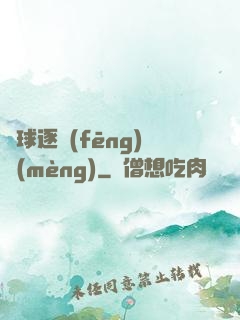 籃球逐風(fēng)夢(mèng)