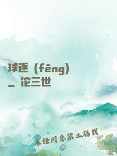 籃球逐風(fēng)夢