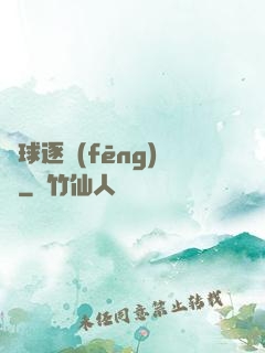 籃球逐風(fēng)夢