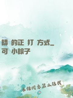精靈的正確打開方式