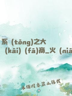 系統(tǒng)之大開(kāi)發(fā)商