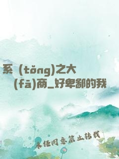 系統(tǒng)之大開發(fā)商