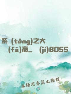 系統(tǒng)之大開發(fā)商
