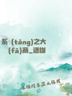 系統(tǒng)之大開發(fā)商