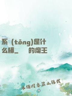 系統(tǒng)是什么桶