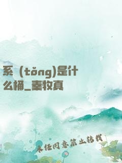系統(tǒng)是什么桶