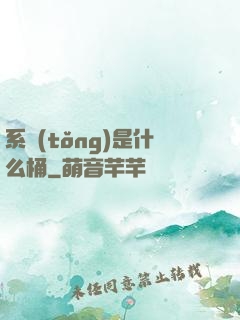 系統(tǒng)是什么桶