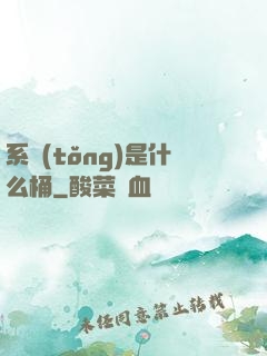 系統(tǒng)是什么桶