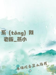 系統(tǒng)請我當老板