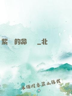 紫羅蘭的命運筆記