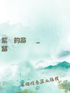 紫羅蘭的命運筆記
