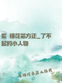 紫龍插花芯方正