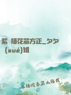 紫龍插花芯方正