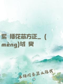 紫龍插花芯方正