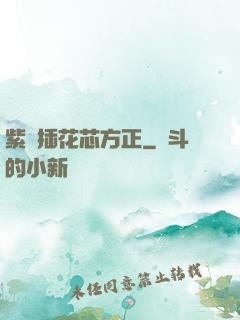 紫龍插花芯方正