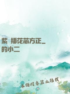 紫龍插花芯方正