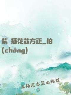 紫龍插花芯方正