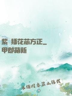 紫龍插花芯方正