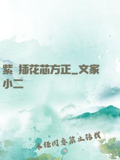 紫龍插花芯方正