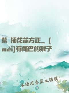 紫龍插花芯方正