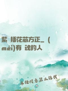紫龍插花芯方正