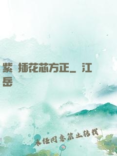 紫龍插花芯方正