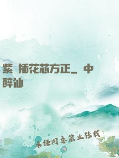 紫龍插花芯方正