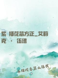 紫龍插花芯方正