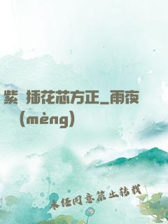 紫龍插花芯方正