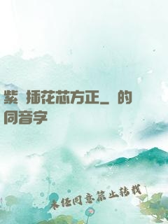紫龍插花芯方正